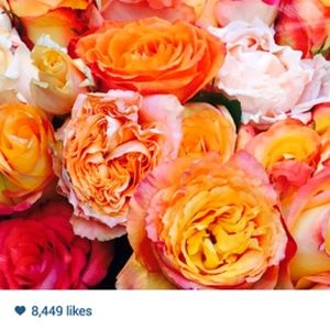 Meet your Posher, Fabiola